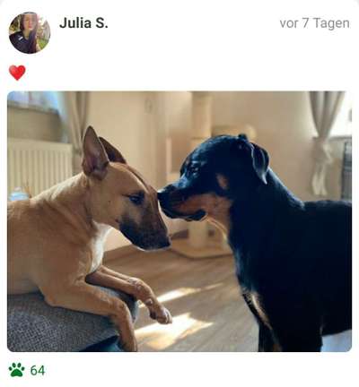 Fotochallenge Nr. 62 Romantische Momente-Beitrag-Bild