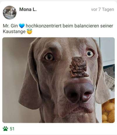 Fotochallenge Nr. 102: Futter balancieren-Beitrag-Bild