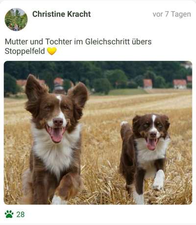 Fotochallenge Nr. 93 Es ist Erntezeit-Beitrag-Bild