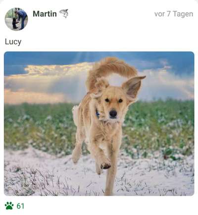 Fotochallenge 61 ~ Schnee-Beitrag-Bild