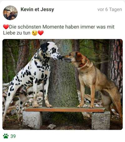 42.Fotochallenge - Eure schönen Momente beim Spaziergang-Beitrag-Bild