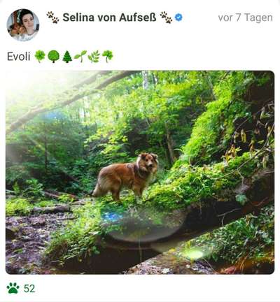 Foto Challenge Nr. 79-Beitrag-Bild