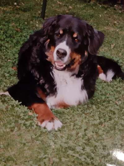 Fotochallenge Nr. 56 - geliebte Senioren-Beitrag-Bild