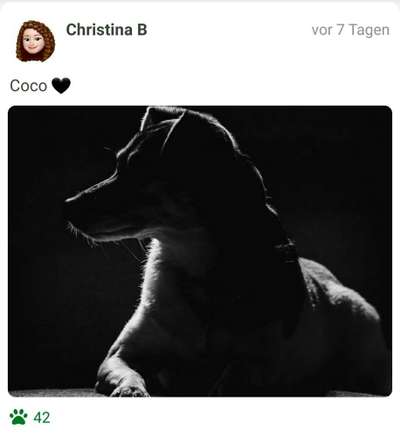 Fotochallange Nr. 46

Schattenspiele BEENDET!!!!!-Beitrag-Bild