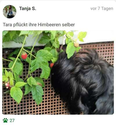 Fotochallenge Nr. 93 Es ist Erntezeit-Beitrag-Bild