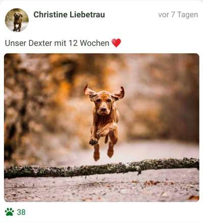 Fotochallenge Nr. 52 „Spring!“-Beitrag-Bild