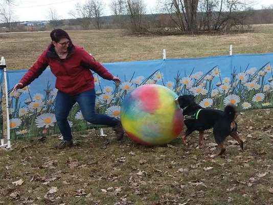 FOTOCHALLENGE 45: Dein Hund und Du - ein eingespieltes Team-Beitrag-Bild