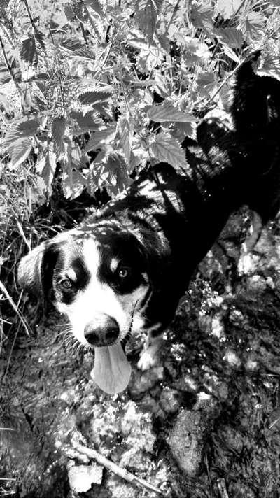 Foto-Challenge 76: Foto in Schwarz-Weiss-Beitrag-Bild