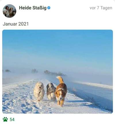 Fotochallenge 61 ~ Schnee-Beitrag-Bild