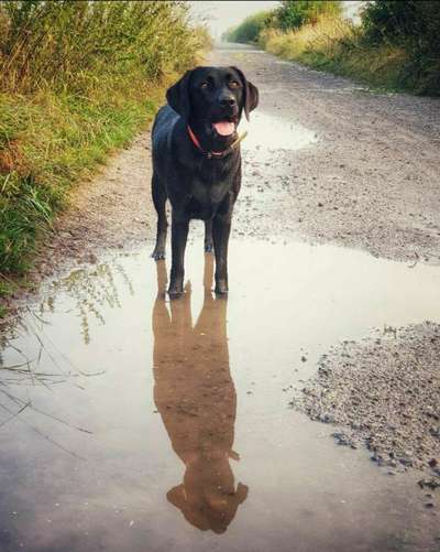 Fotochallange Nr. 46

Schattenspiele BEENDET!!!!!-Beitrag-Bild