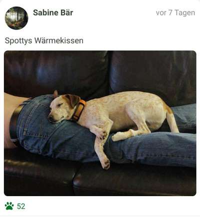 Foto Challange Nr.80-Beitrag-Bild