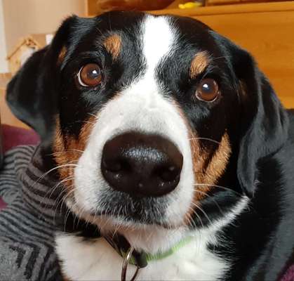 Fotochallange Nr. 57     PORTRÄT.   Beendet!!!!!!!!-Beitrag-Bild