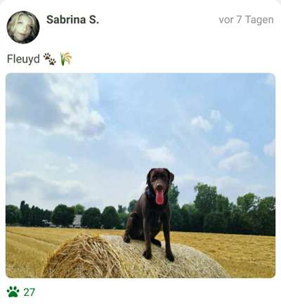 Fotochallenge Nr. 93 Es ist Erntezeit-Beitrag-Bild