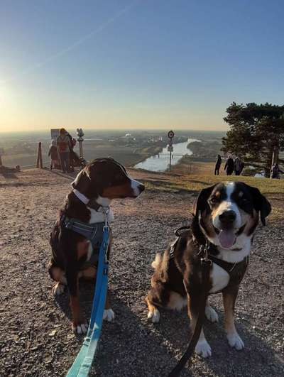 151. Photo Challenge: Sehenswürdigkeiten-Beitrag-Bild