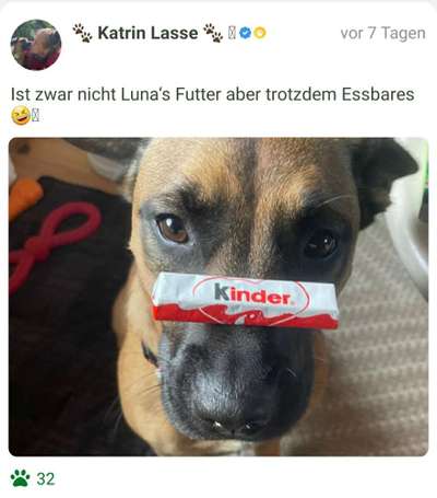 Fotochallenge Nr. 102: Futter balancieren-Beitrag-Bild