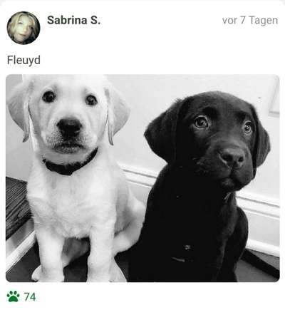 Foto-Challenge 76: Foto in Schwarz-Weiss-Beitrag-Bild