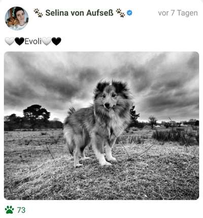 Foto-Challenge 76: Foto in Schwarz-Weiss-Beitrag-Bild