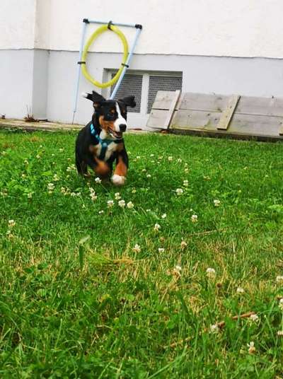 Fotochallenge 78

Es grünt und blüht-Beitrag-Bild