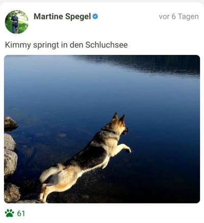 Fotochallenge Nr. 94 It's summer time-Beitrag-Bild