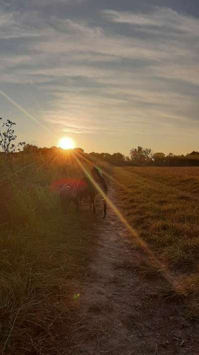 Fotochallenge Nr. 62 Romantische Momente-Beitrag-Bild