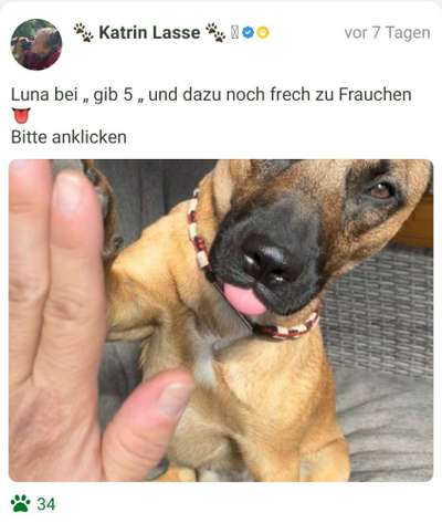 Fotochallenge 108: Starkes Team-Beitrag-Bild