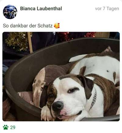 Foto Challenge 82-Beitrag-Bild