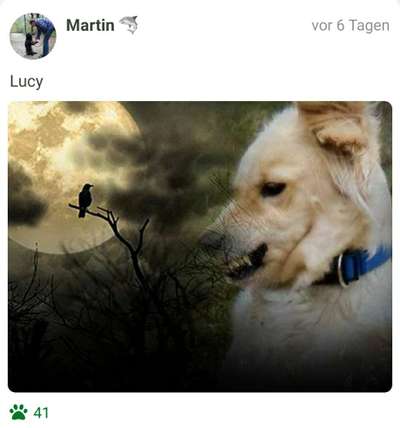 Fotochallange Nr.53 "HALLOWEEN"-Beitrag-Bild