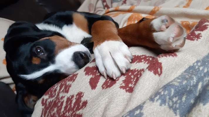 Foto Challange Nr.80-Beitrag-Bild