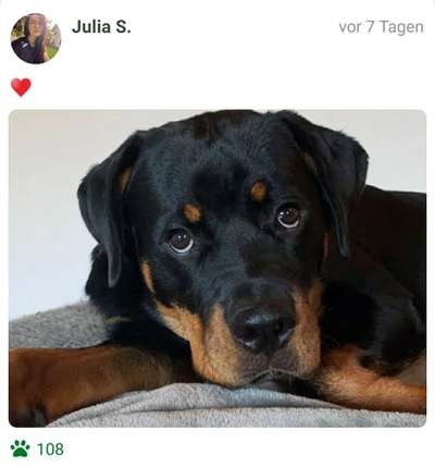 Fotochallange Nr. 57     PORTRÄT.   Beendet!!!!!!!!-Beitrag-Bild