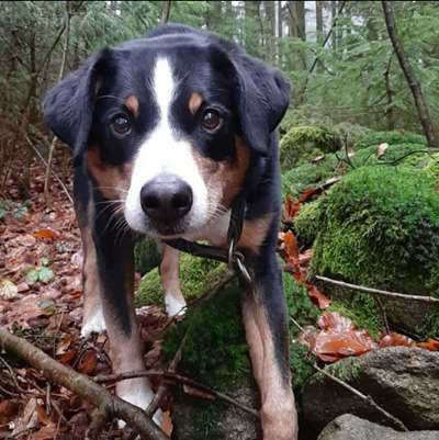 Fotochallenge Nr. 67: Euer Lieblingsbild-Beitrag-Bild