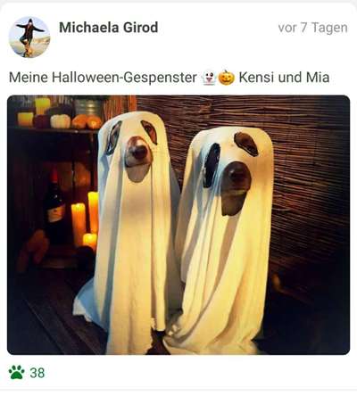 Fotochallenge Nr. 99 Herbst und Halloween🍁🍂-Beitrag-Bild