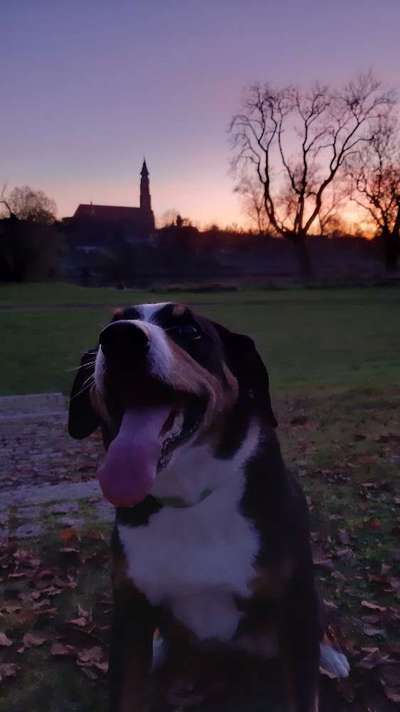 FOTOCHALLENGE 86-Beitrag-Bild