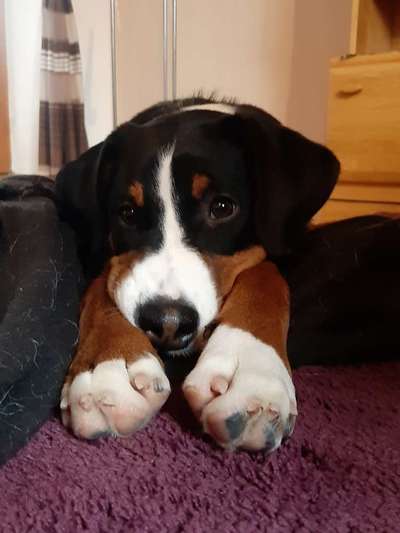 Fotochallange Nr. 57     PORTRÄT.   Beendet!!!!!!!!-Beitrag-Bild