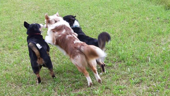 Fotochallenge 69-Beitrag-Bild