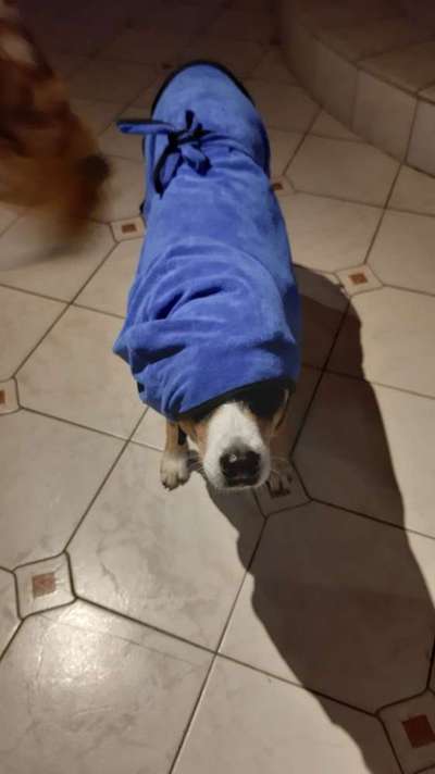 Fotochallenge 128-Beitrag-Bild