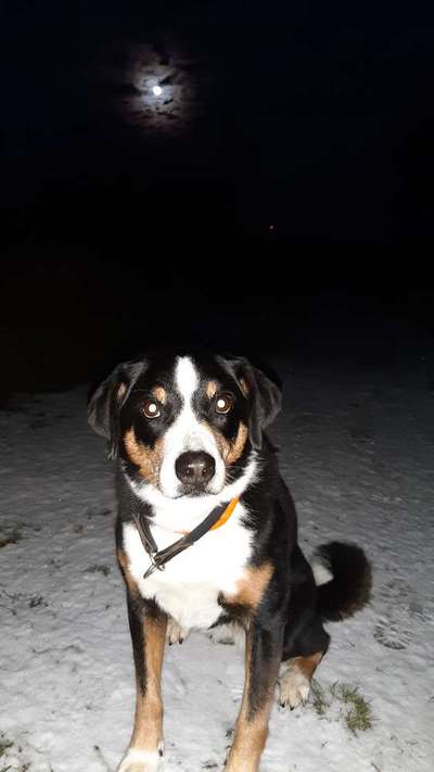 Postet eure schönsten Bilder von Spaziergängen in 2020!-Beitrag-Bild