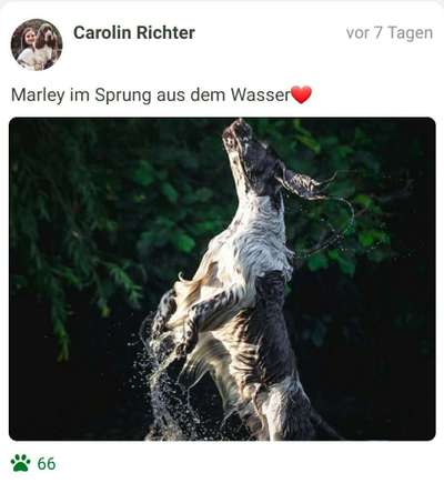 Fotochallenge Nr. 52 „Spring!“-Beitrag-Bild