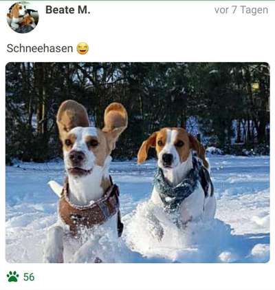 Fotochallenge 61 ~ Schnee-Beitrag-Bild