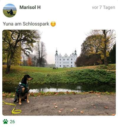 Fotochallenge 87: Im Park-Beitrag-Bild