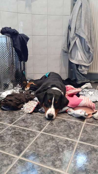 Fotochallenge 128-Beitrag-Bild