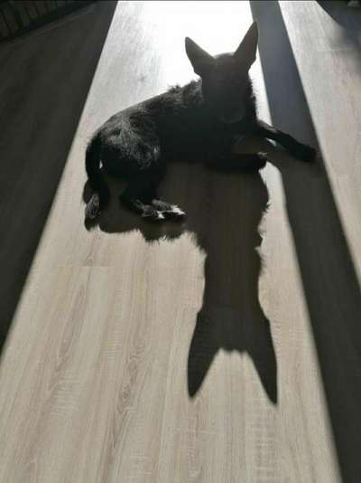 Fotochallange Nr. 46

Schattenspiele BEENDET!!!!!-Beitrag-Bild