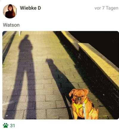 Fotochallange Nr. 46

Schattenspiele BEENDET!!!!!-Beitrag-Bild