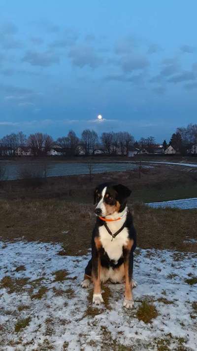 Postet eure schönsten Bilder von Spaziergängen in 2020!-Beitrag-Bild