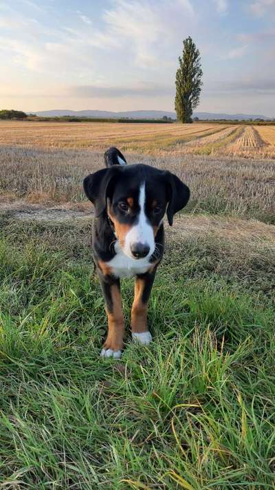 Fotochallenge Nr. 67: Euer Lieblingsbild-Beitrag-Bild