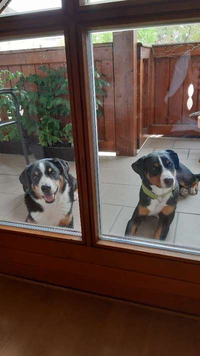 120. Fotochallenge-Beitrag-Bild