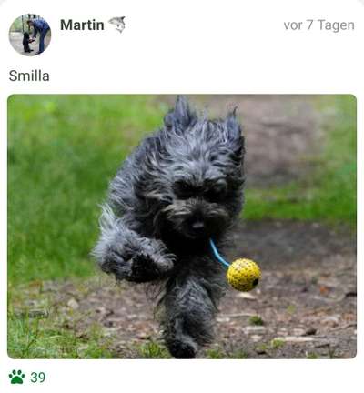 42.Fotochallenge - Eure schönen Momente beim Spaziergang-Beitrag-Bild