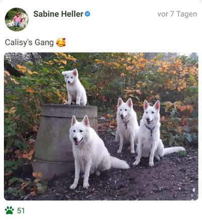 Fotochallenge 69-Beitrag-Bild