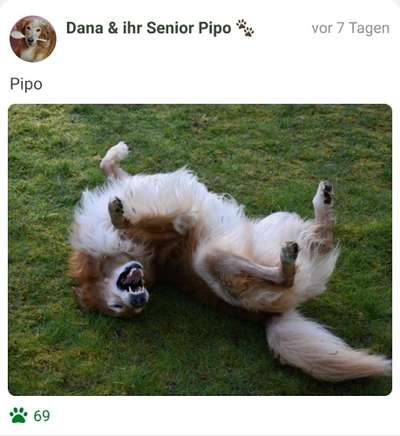 Foto-Challenge Nr. 90: Lebensfreude-Beitrag-Bild