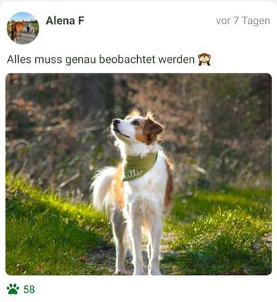 Foto Challenge Nr. 79-Beitrag-Bild