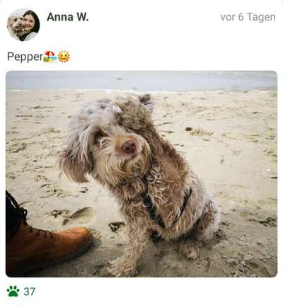 Fotochallenge Nr.100 Urlaubsimpressionen-Beitrag-Bild